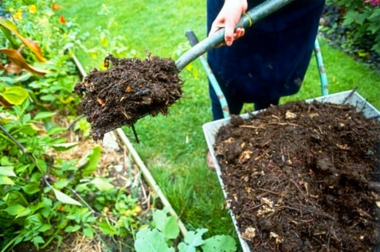 Методы изготовления компостной ямы своими руками
